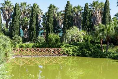 Laghetti, piante tropicali e are parlanti: alle porte di Bari c'� l'orto botanico Giardino dei tempi